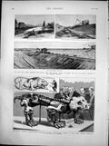 Old Print Skeleton Pareiasaurus Baini Ship Canal Baltic German Ocean 1891 19th