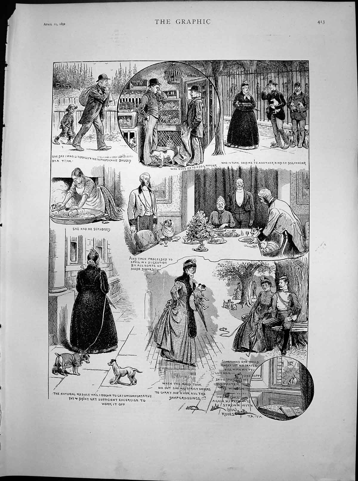 Old Antique Print Sketches Stray Dog SLady Overfead Escaped Master 1891 19th