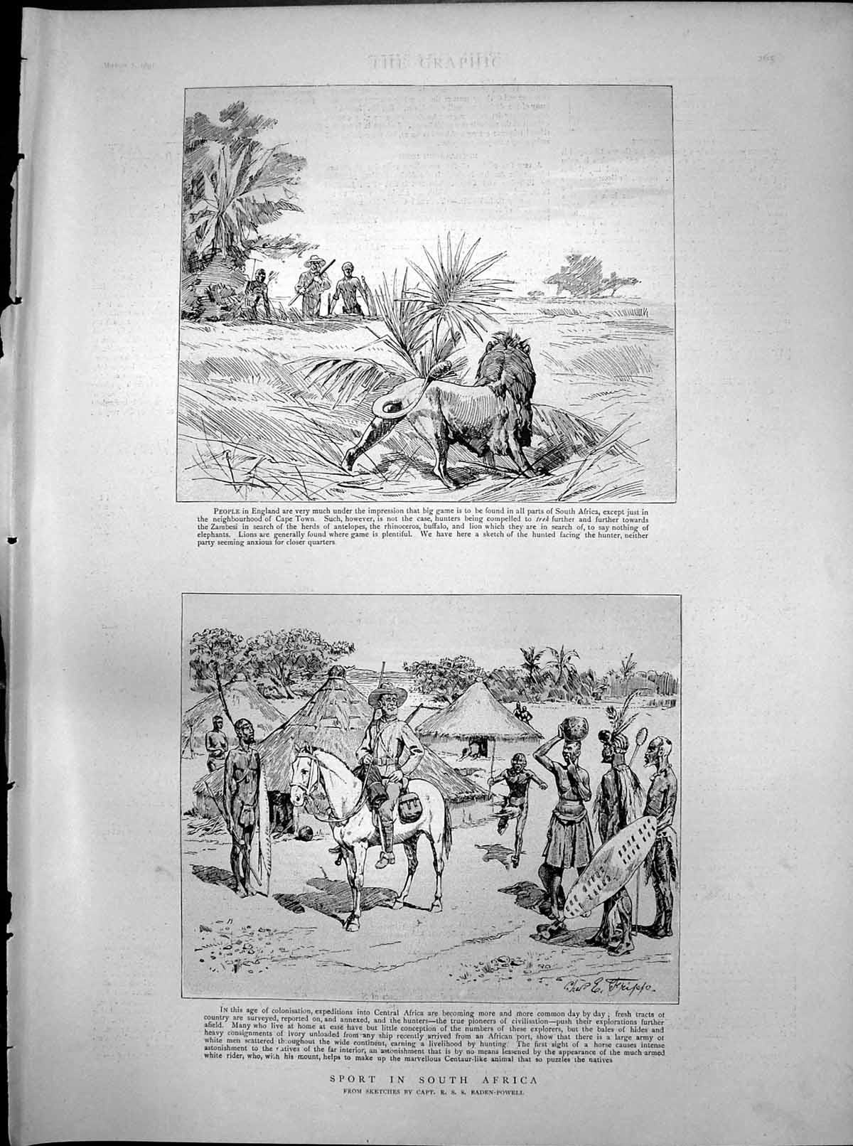 Old Print Sport South Africa Hunters Lion Natives First Sight Horse 1891 19th