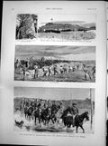 Antique Print Occupation Mashonaland British South African Cos Forces 1891 19th