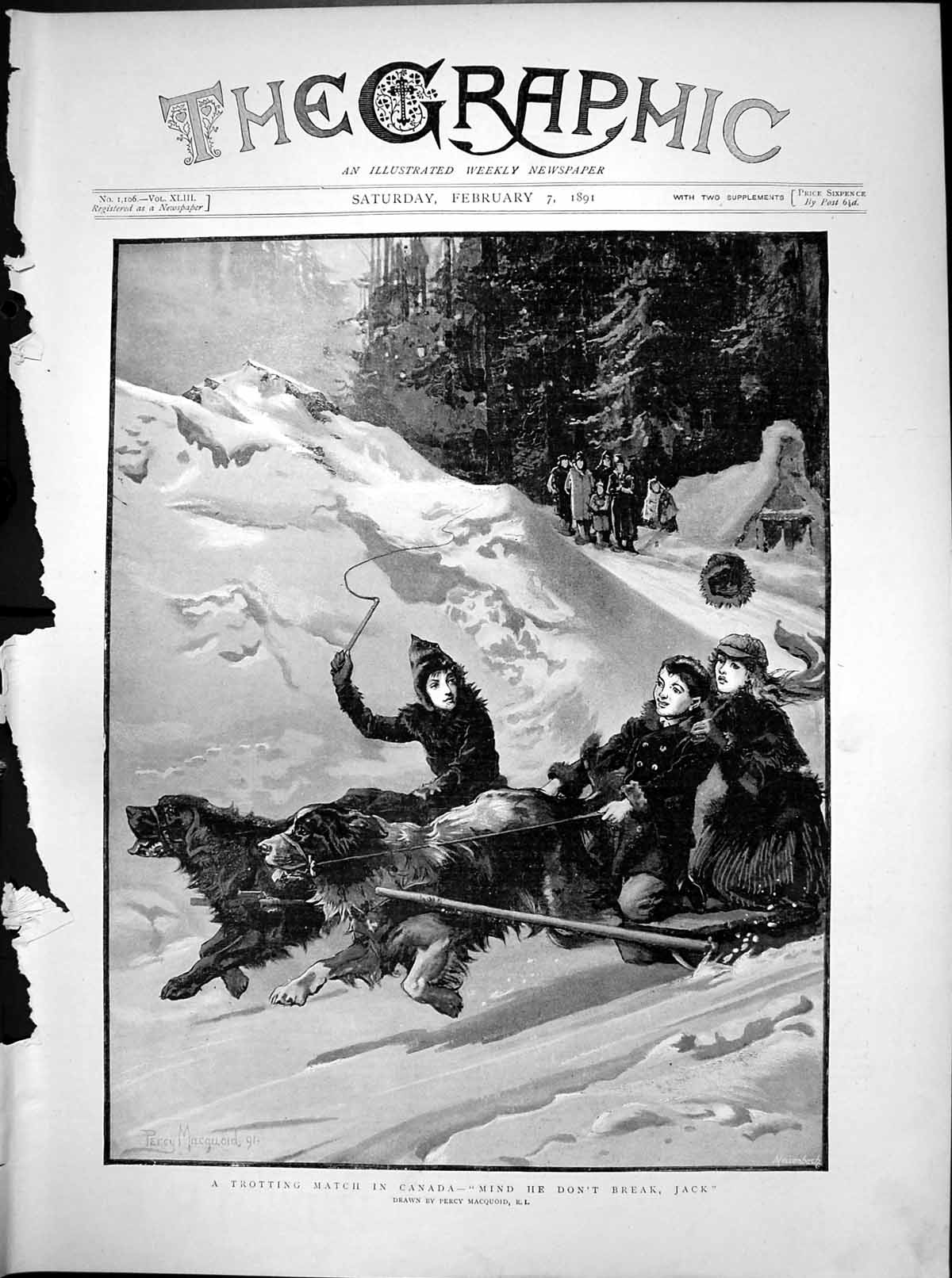 Antique Print Trotting Match Canada Dogs Pulling Sledge Percy Macquoid 1891