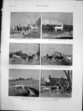 Old Antique Print Adventures Plough Tail Bob Mare Cannot Jump Hounds 1888 19th