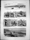 Old Print Tenerife Canary Islands Health Resort Santa Cruz Date Palm 1888 19th