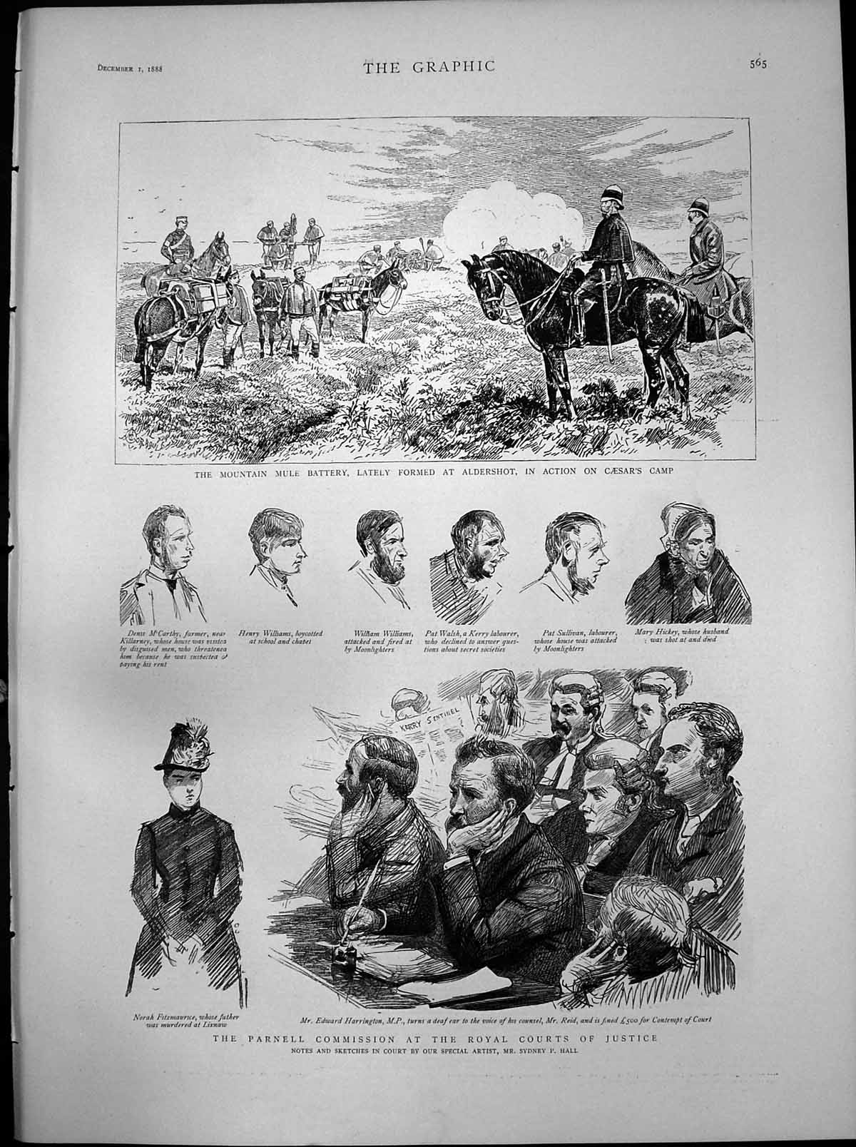 Antique Print Parnell Commission Courts Justice Mule Battery Aldershot 1888