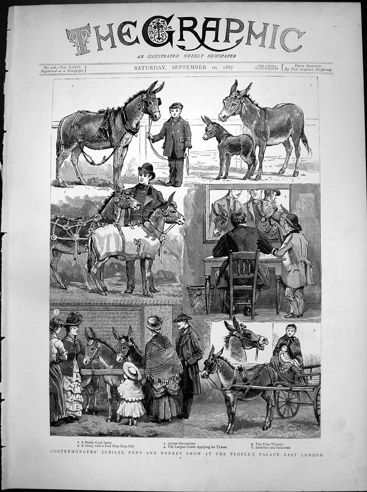 Antique Old Print Costermongers Jubilee Pony Donkey Show Peoples Palace 1887