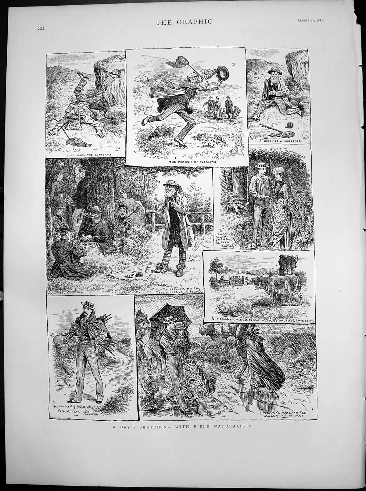 Antique Old Print Days Sketching Field Naturalists Cow Hedgehog Rains 1887 19th
