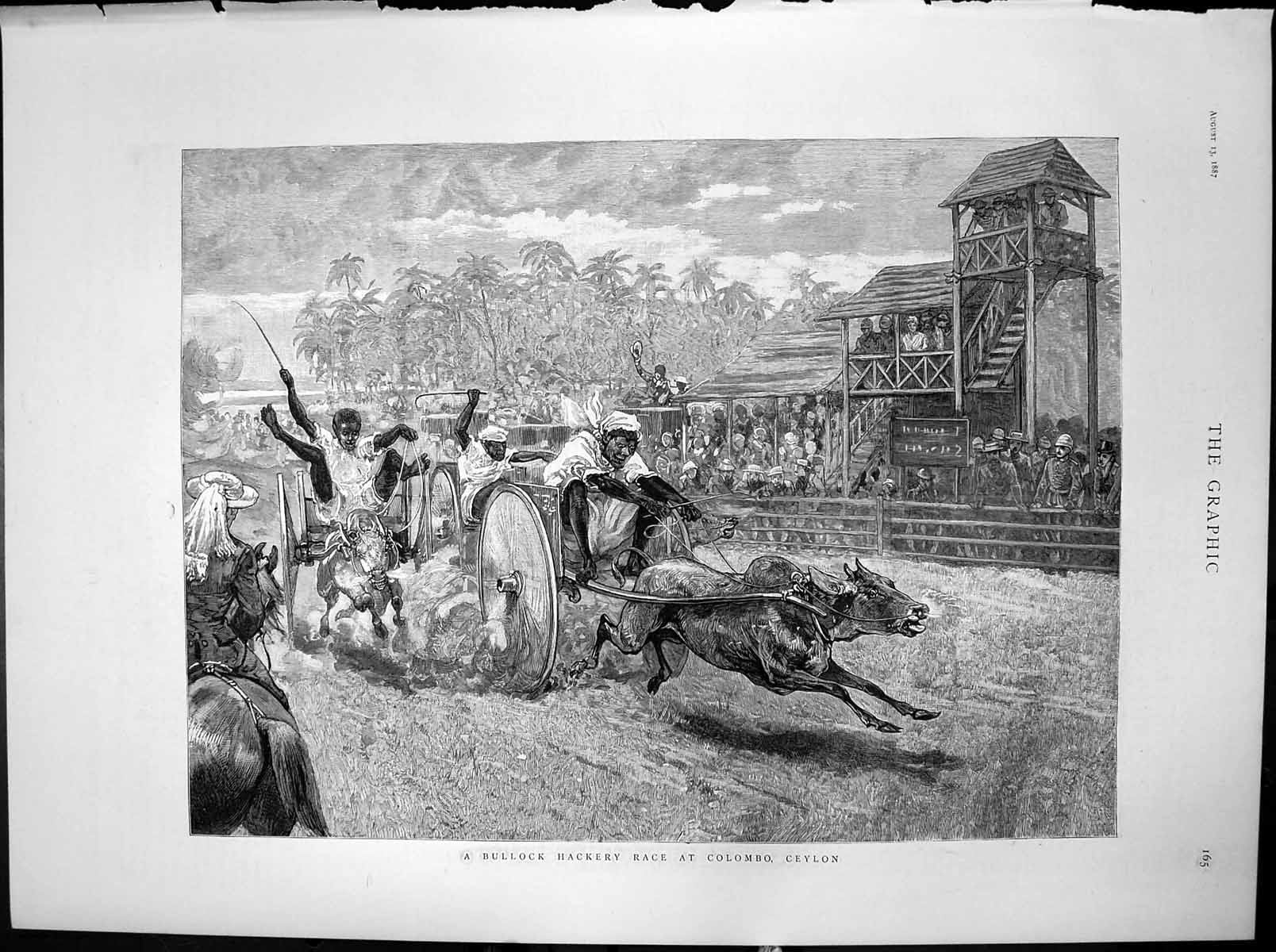 Antique Old Print Bullock Hackery Race Colombo Ceylon Crowds Watch Stand 1887