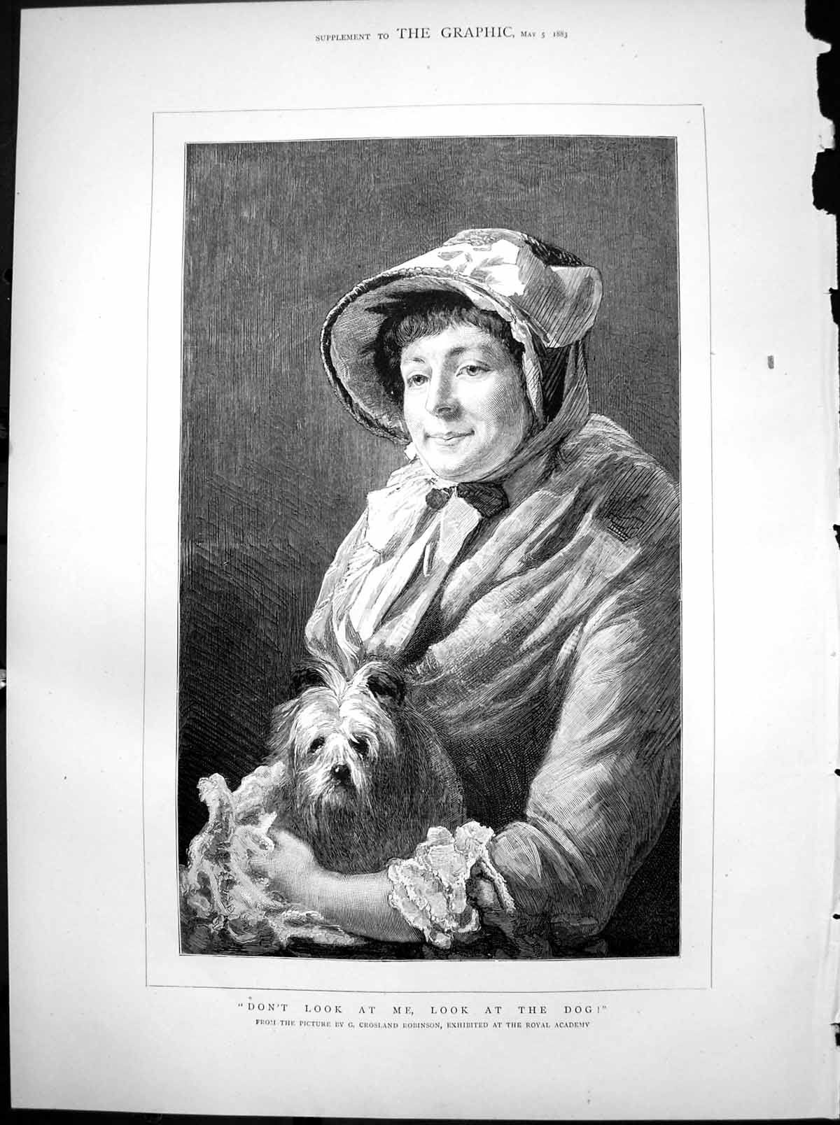 Antique Old Print Dont Look Me Look At Dog G Crosland Robinson R Academy 1883