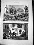 Original Old Antique Print Carpet Bazaar Cairo Transvaal Boer New Travel 1883