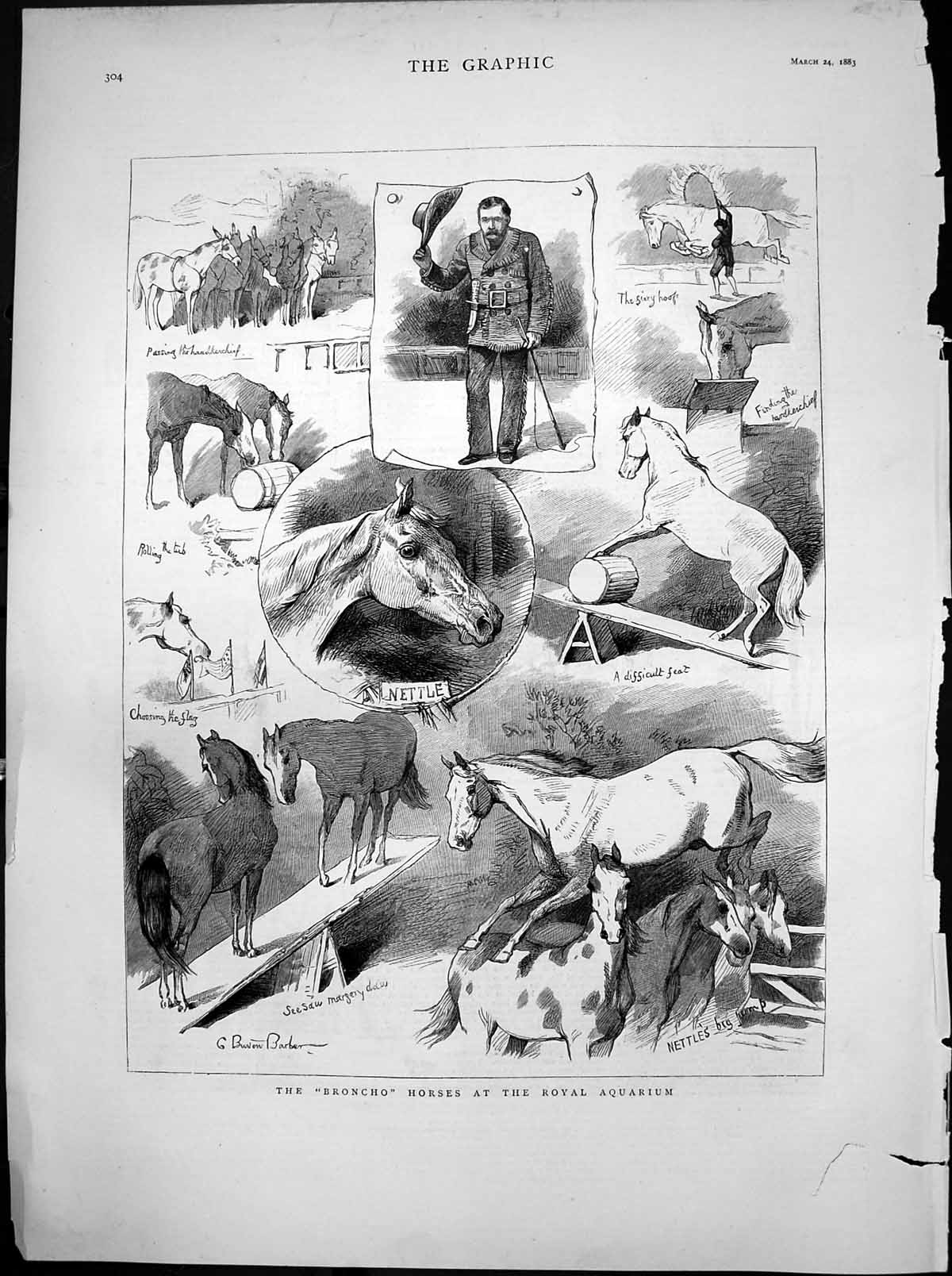 Old Antique Print Broncho Horses Royal Aquarium Passing Handkerchief 1883 19th
