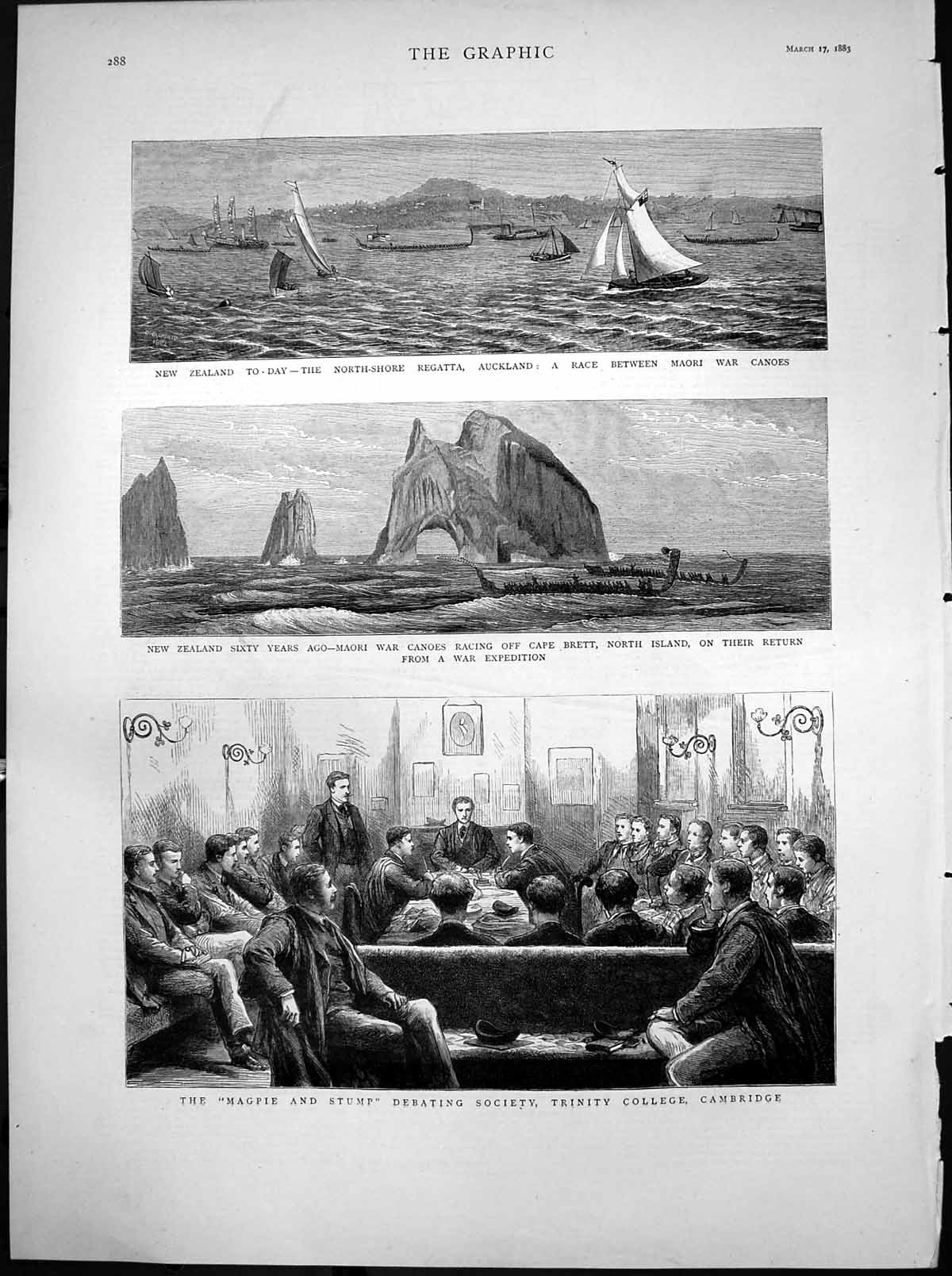 Antique Old Print Debating Society Trinity College Cambridge New Zealand 1883