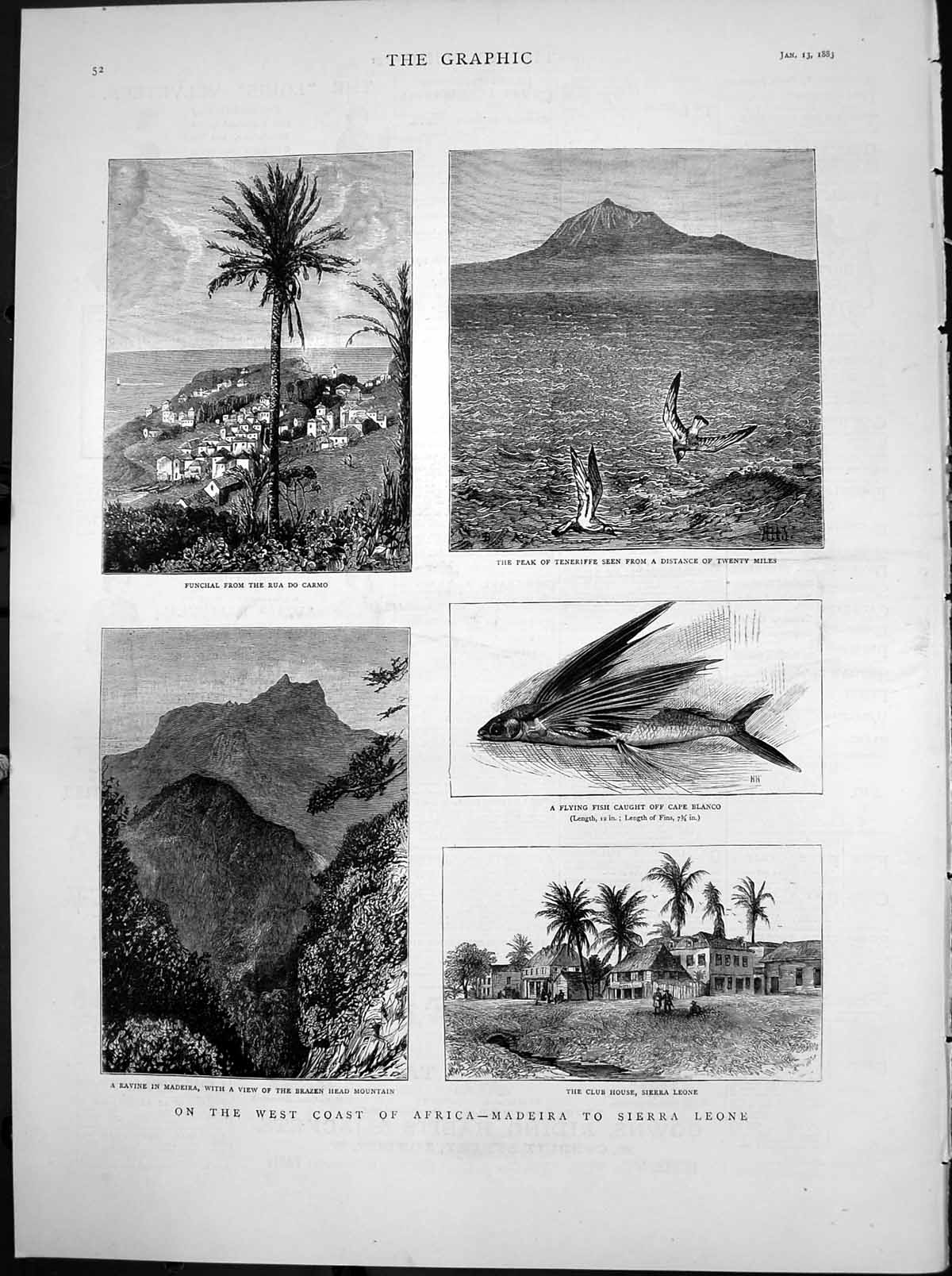 Antique Print West Coast Africa Madeira Sierra Leone Funchal Teneriffe 1883