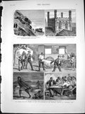 Antique Old Print Small Pox Epidemic Cape Town Temporary Hospital Farm 1883