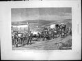 Antique Print Revolt Transvaal Survivors Bronkers Spruit Return Lines 1881 19th