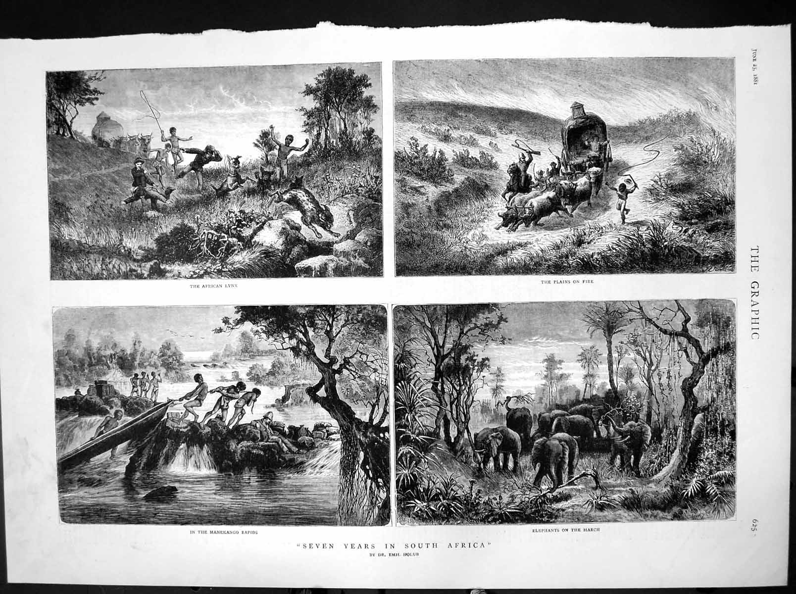 Old Print Seven Years South Africa Lynx Plains Fire Elephants March 1881 19th