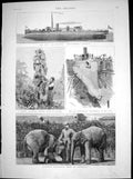 Old Antique Print Torpedo Ram Polyphemus Burmese Elephants Captivity 1881 19th