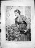 Old Print Tender Cares Ce Perugini Woman Picking Leaves Flower Bush 1881 19th