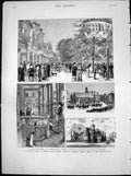 Antique Old Print Bath West England Agricultural Show Tunbridge Wells 1881 19th