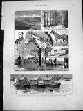 Old Russley Stables Small Pox Epidemic Floating Hospital Thames 1881 Victorian