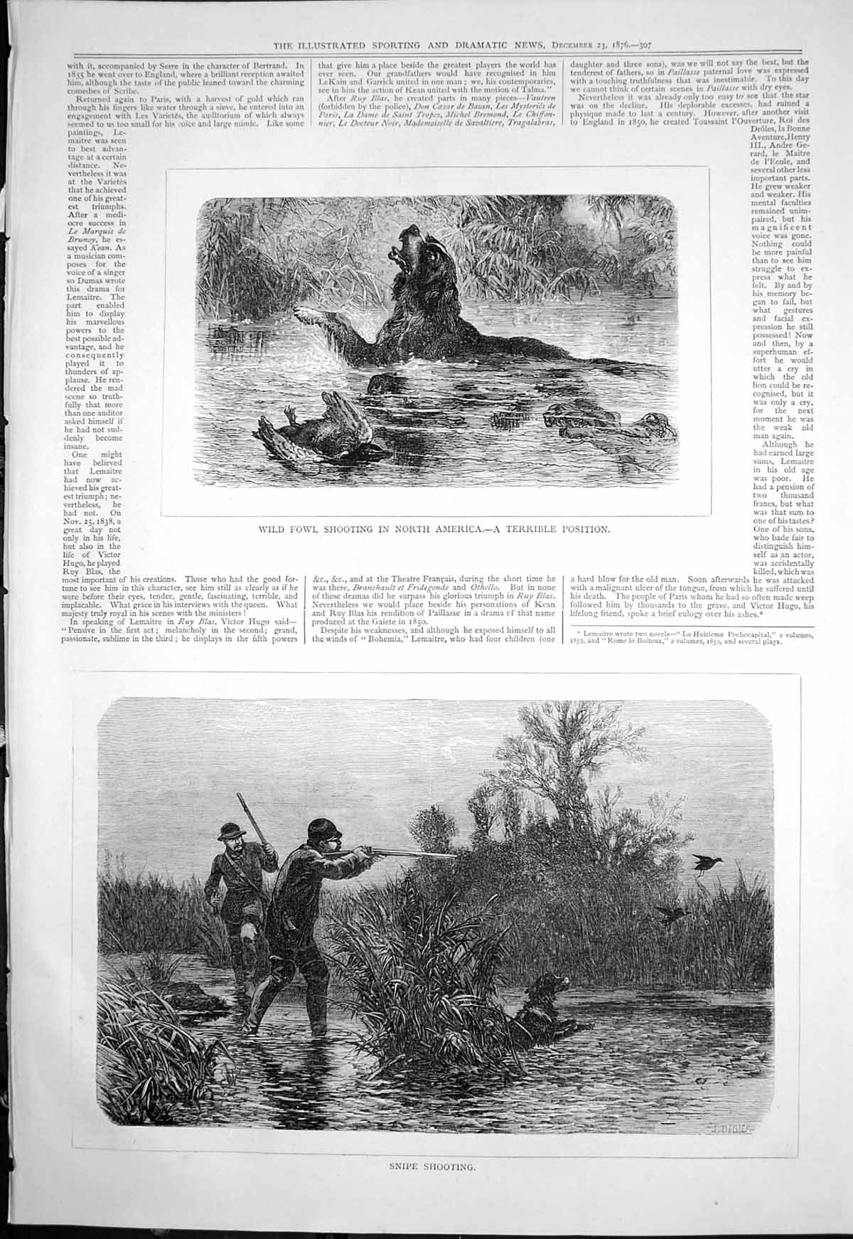 Old Print Snipe Shooting Wild Fowl Shooting North America Crocodile 1876 19th