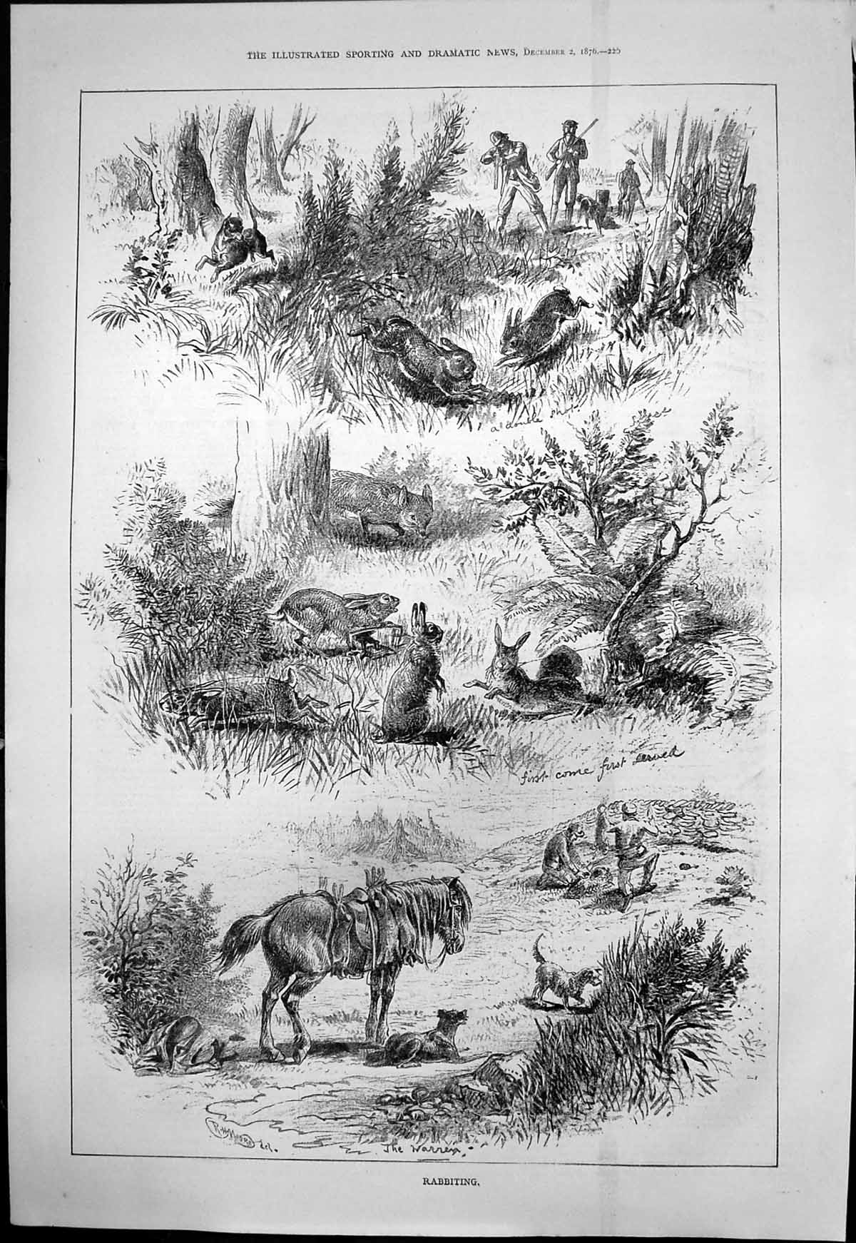 Original Old Antique Print Rabbiting Rh Moore Warren Hunters Rifles Dog 1876