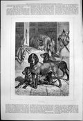 Antique Print In Waiting G Spech Dogs Waiting Go Hunting Horse Stable 1876 19th