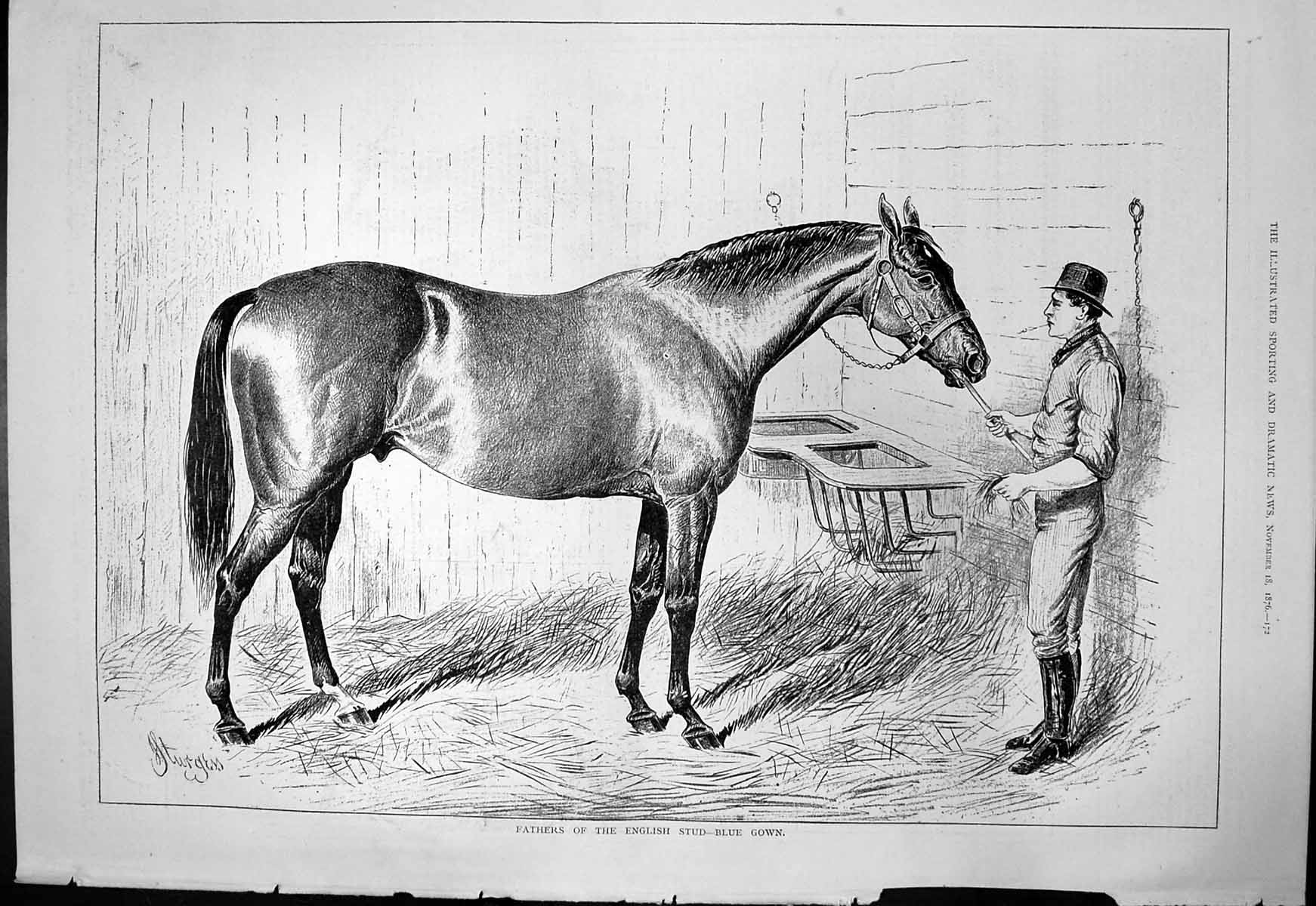 Old Fathers English Stud Blue Gown Sturgess Horse Stable Handler 1876 Victorian