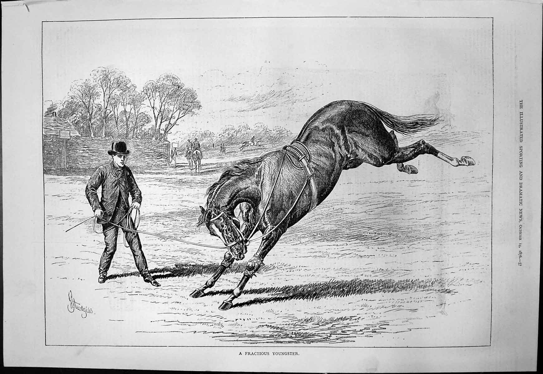Antique Old Print Fractious Youngster Sturgess Training Young Horse Rope 1876