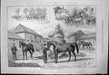 Antique Print Stud Farm Edmund Tattersall Titchborne Knight St Patrick 1876