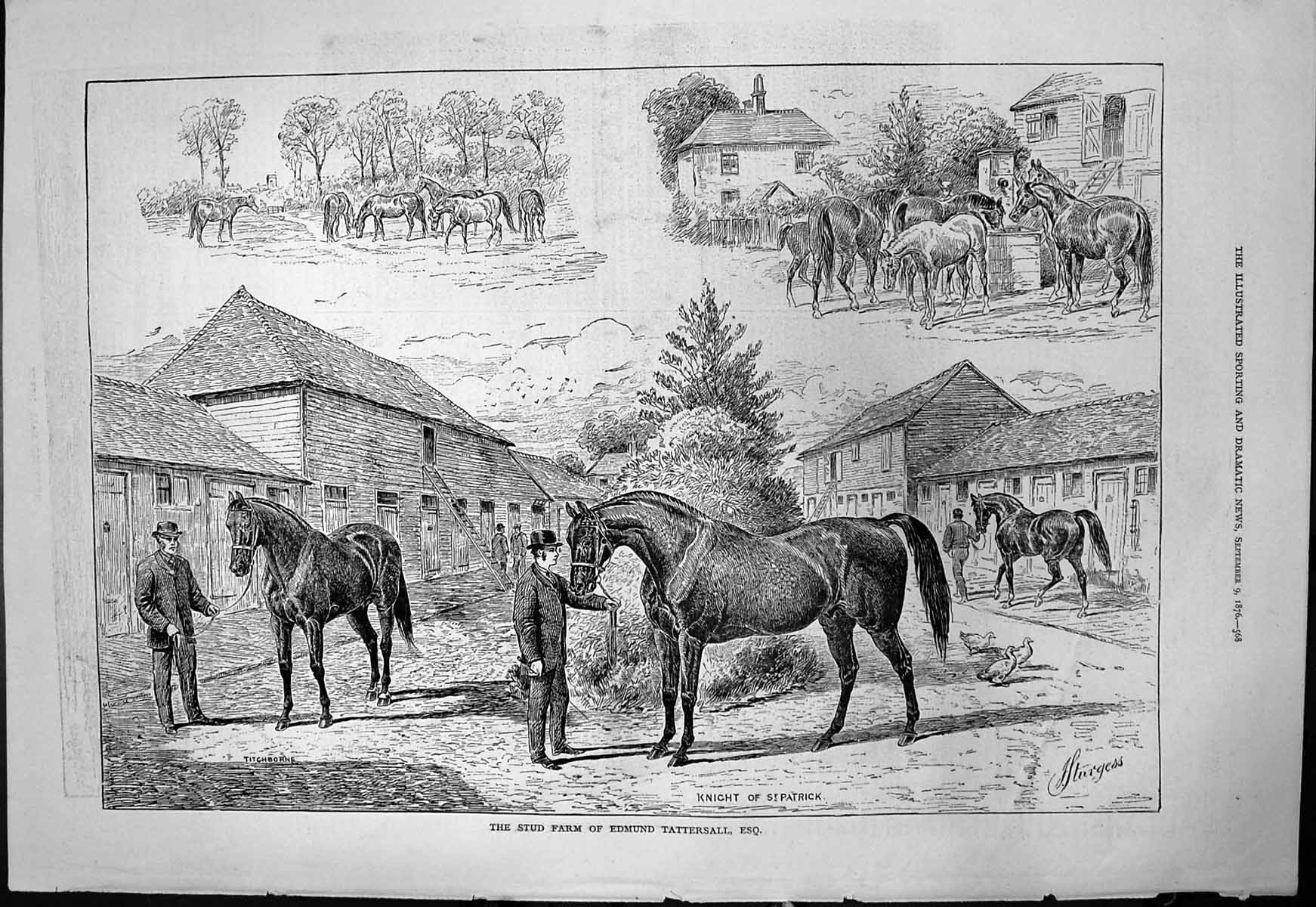 Antique Print Stud Farm Edmund Tattersall Titchborne Knight St Patrick 1876