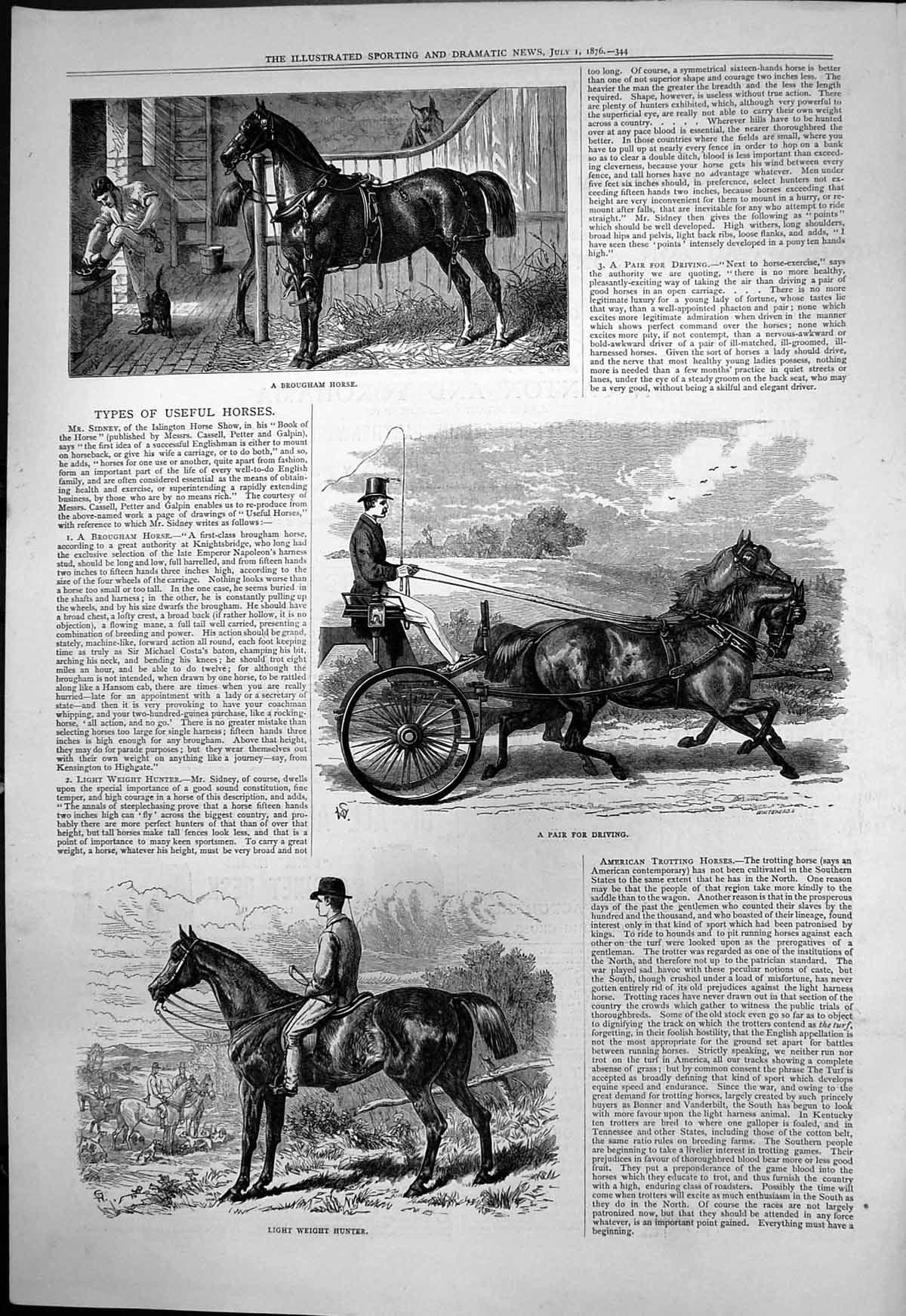Old Antique Print Horses Pair Driving Brougham Light Weight Hunter 1876 19th