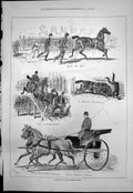 Antique Old Print Alexandra Park Horse Show Major Quentins Ponies Oberon 1876