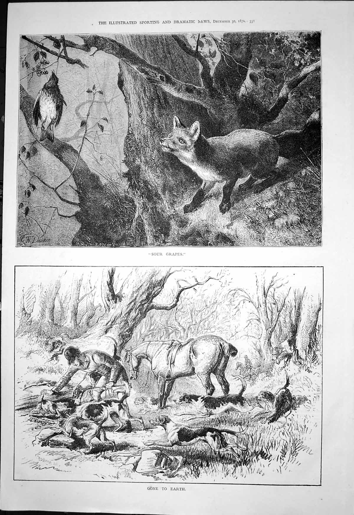 Antique Old Print Sour Grapes Fox Bird Gone Earth Dogs Searching Hole 1876 19th