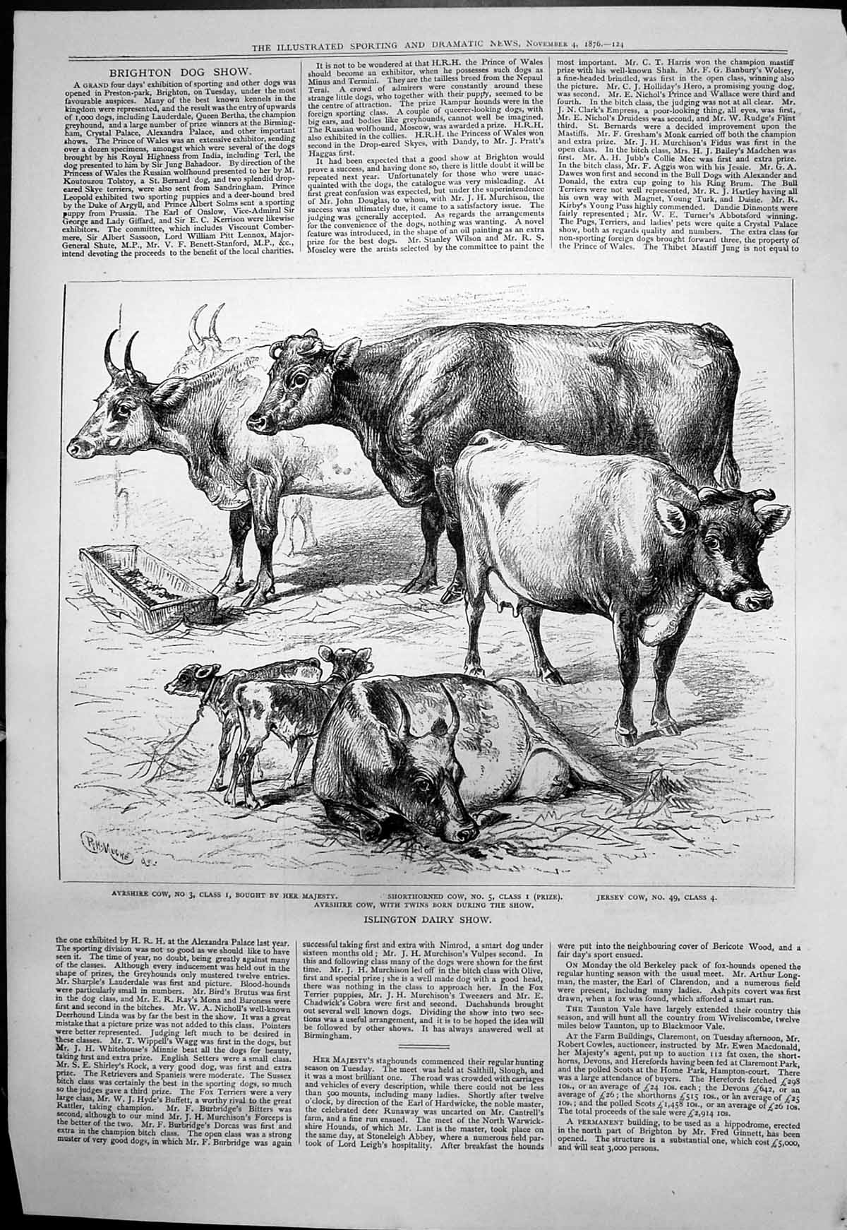 Old Islington Dairy Show Ayrshire Shorthorned Jersey Twin Calves 1876 Victorian