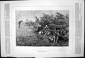 Original Old Antique Print Caught Storm Hunters Rifles Dogs Shelter Bushes 1876