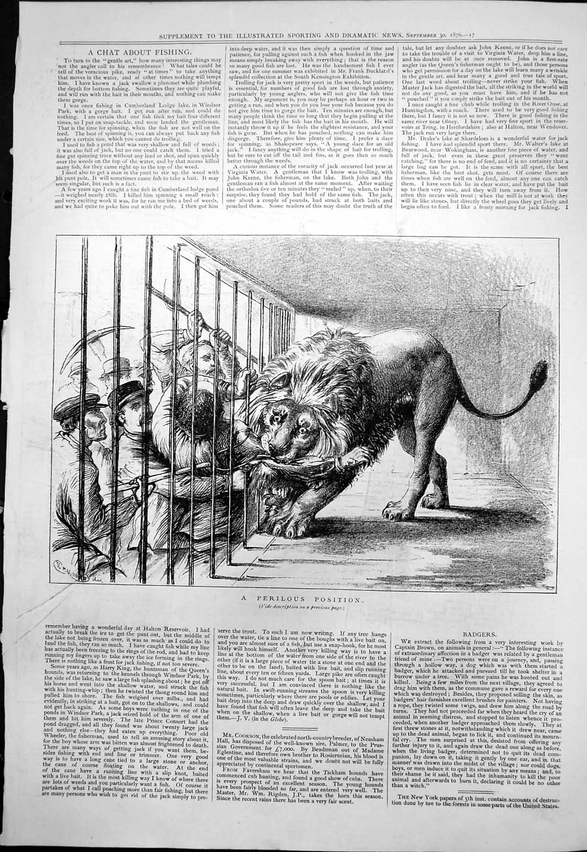 Old Perilous Position Lion Cage Mans Arm Mouth Men Attack Forks 1876 Victorian