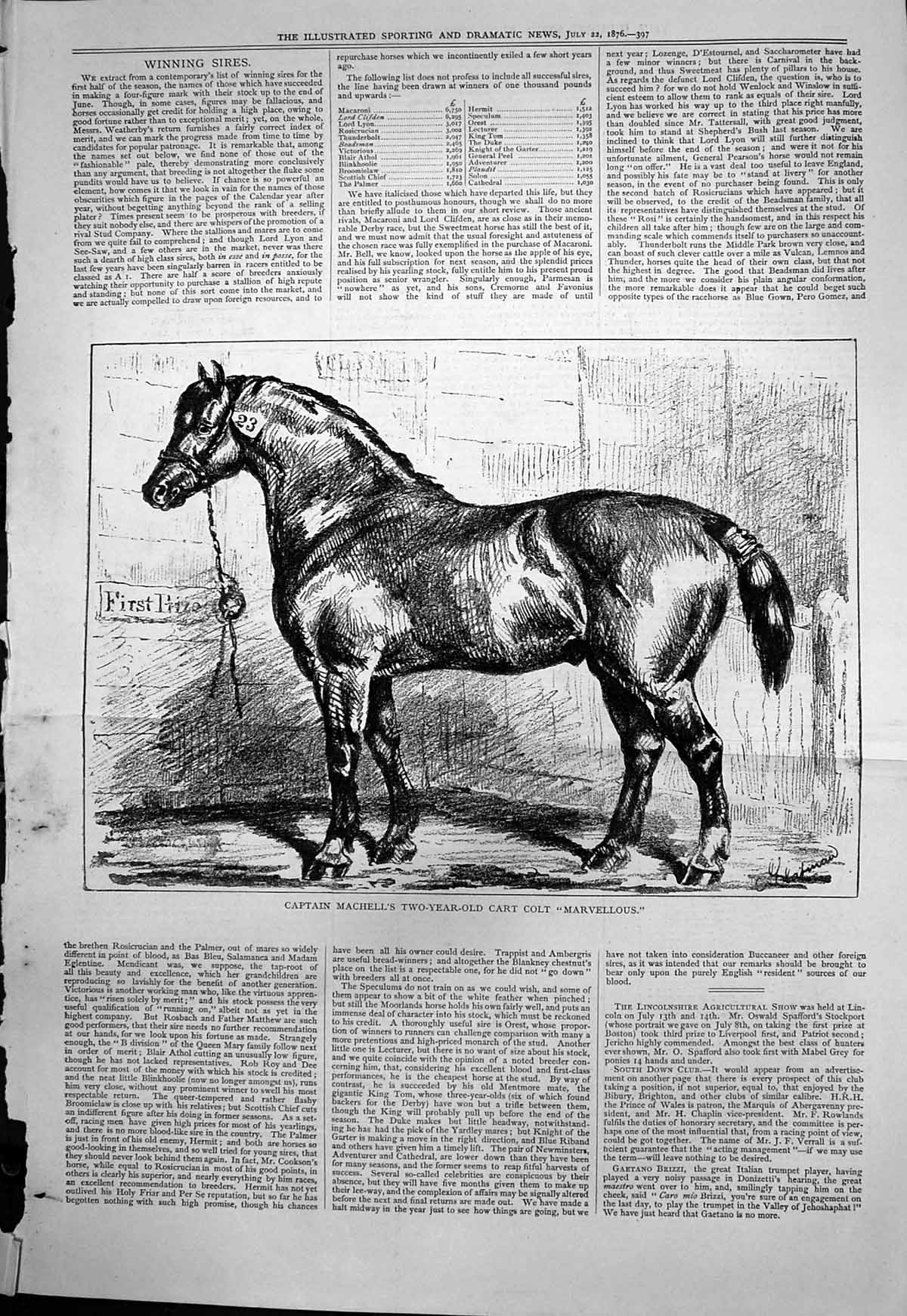 Antique Old Print Captain Machells Two Year Cart Colt Marvellous Winner 1876