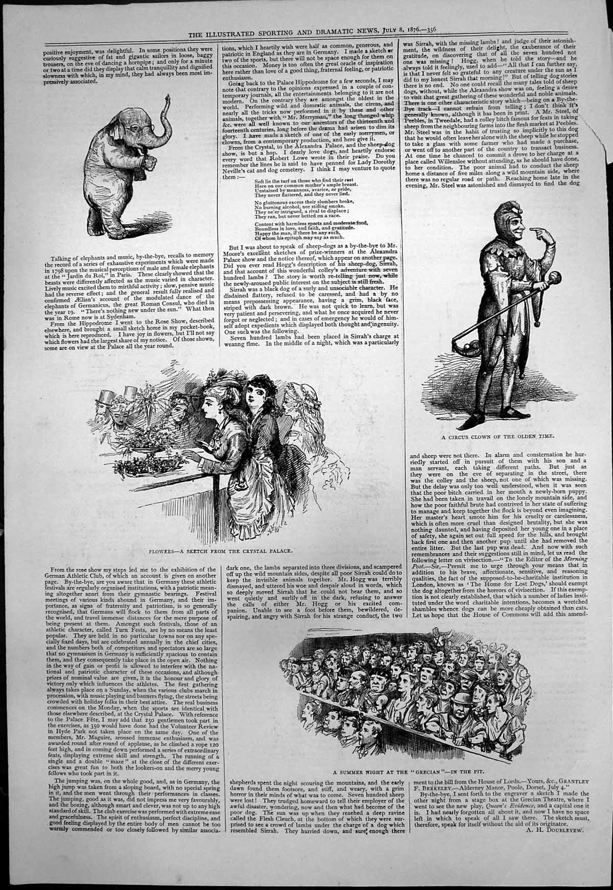 Antique Old Print Flowers Sketch Crystal Palace Summer Night Grecian Pit 1876