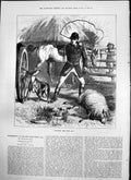 Old Reading Riot Act R H Moore Rider Threatening Dog Injured Sheep 18 19th