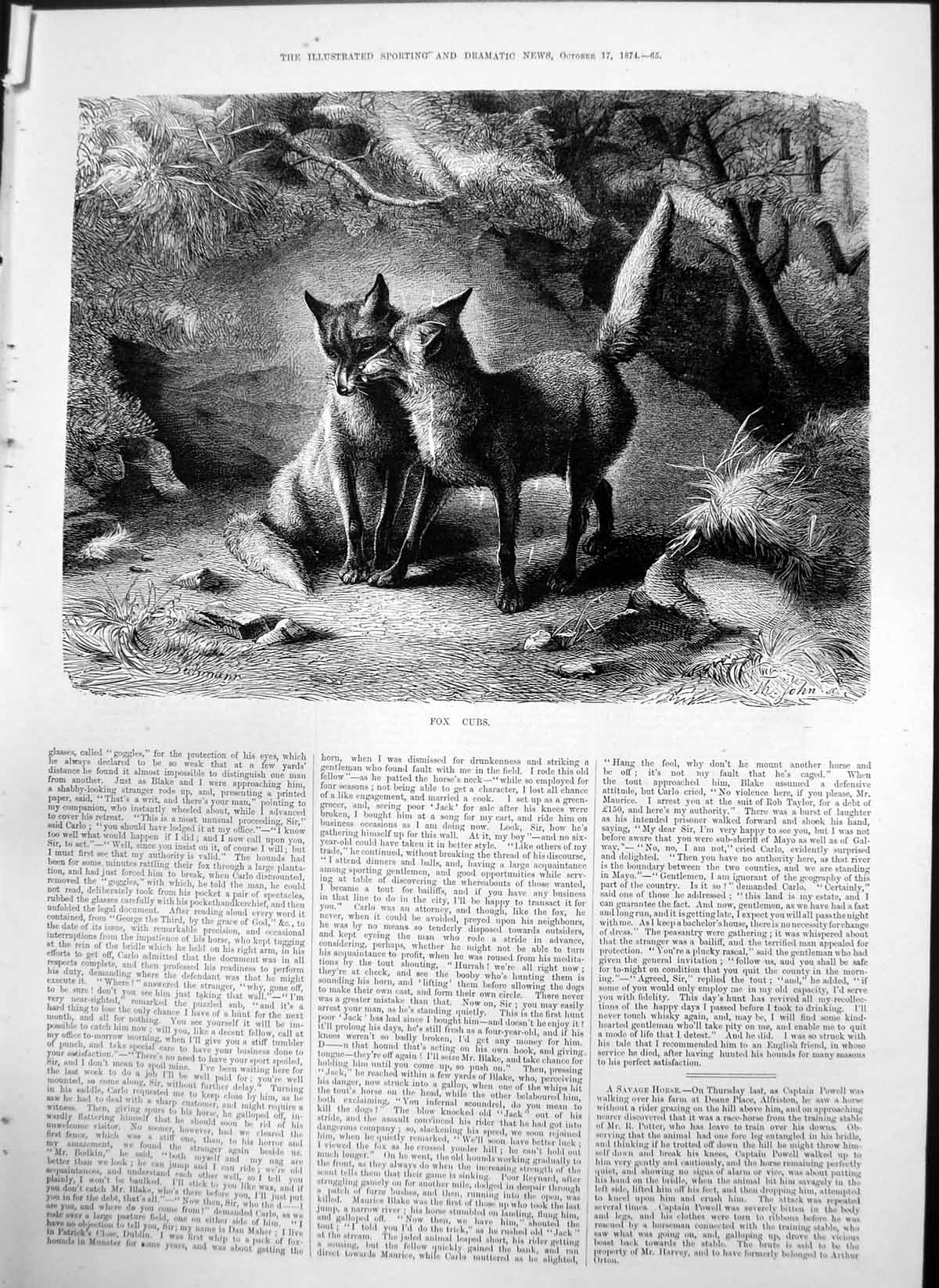 Original Old Antique Print Fox Cubs Bechmann Two Fox Cubs Den 1874 Victorian