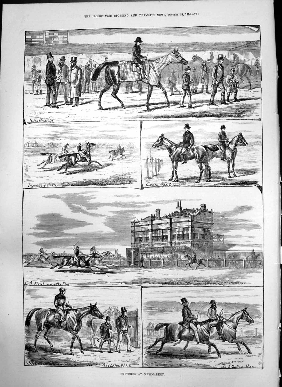 Antique Print Newmarket Horses Birdcage Cambridge Screws Finish Gallop 1874