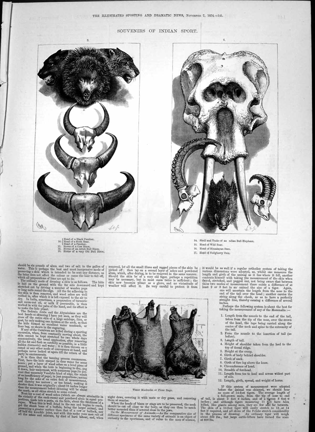 Old Print Souvenirs Indian Sport Head Panther Bear Hamlet E Goodwin 1874 19th
