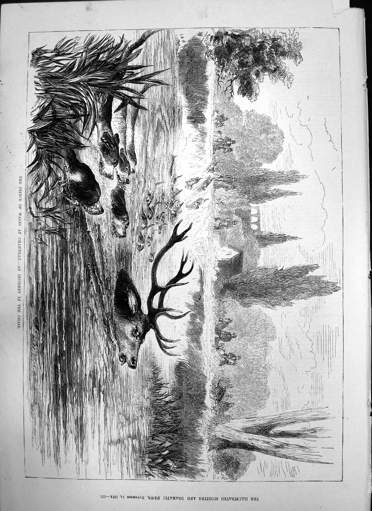 Old Prince Wales Chantilly Incident Chase Stag River F Wentworth 1874 Victorian