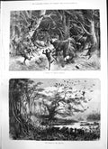 Antique Old Print Charge African Buffalo Banks Limpopo Barry Cornwall 1874 19th
