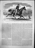 Old Print Ride Vienna Paris 15 Days Lieut Von Zubowitz Mare Caradoc 1874