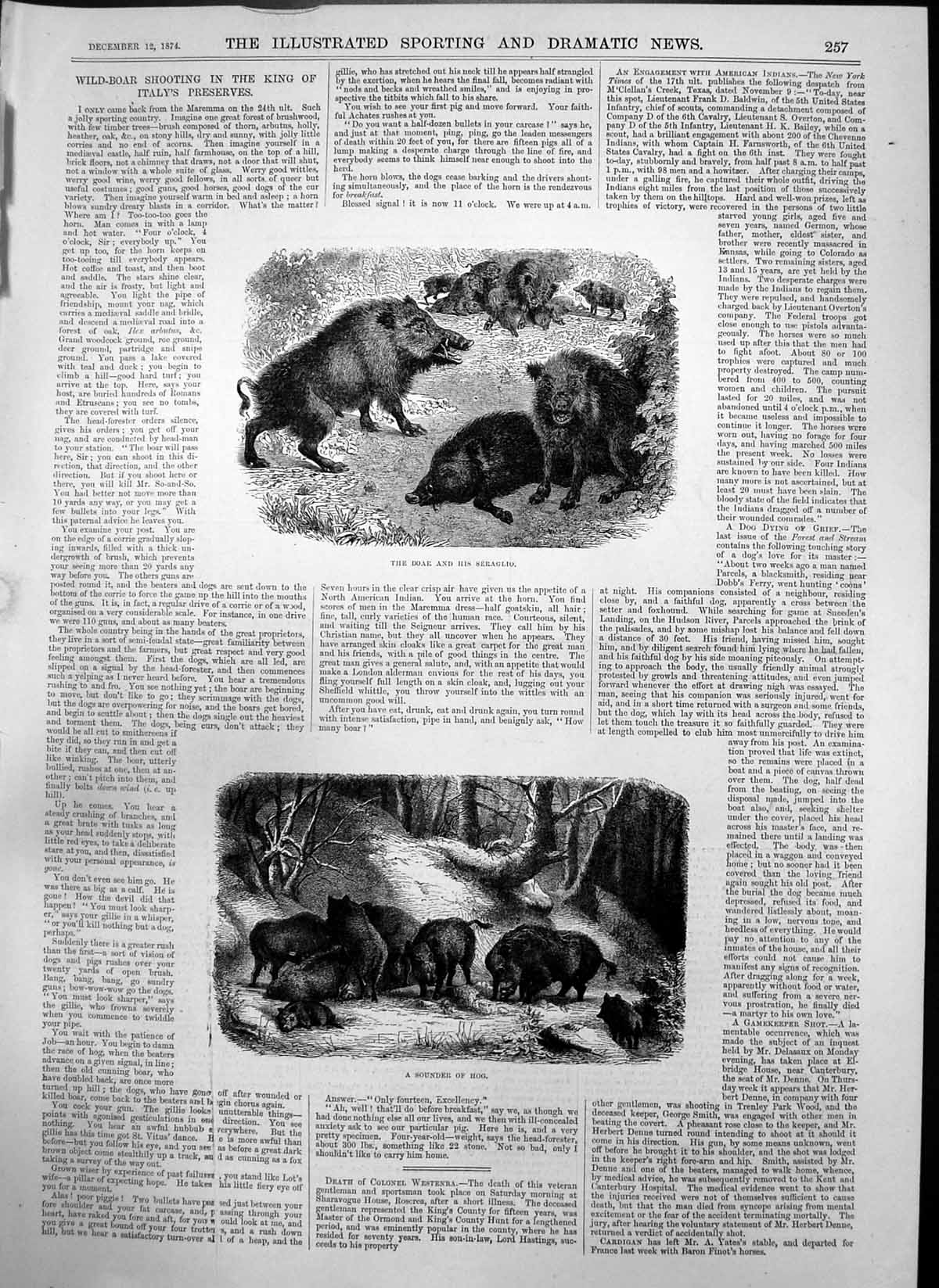 Antique Print Wild Boar Shooting Boar Seraglio Sounder Hog Plan Canoe 1874 19th