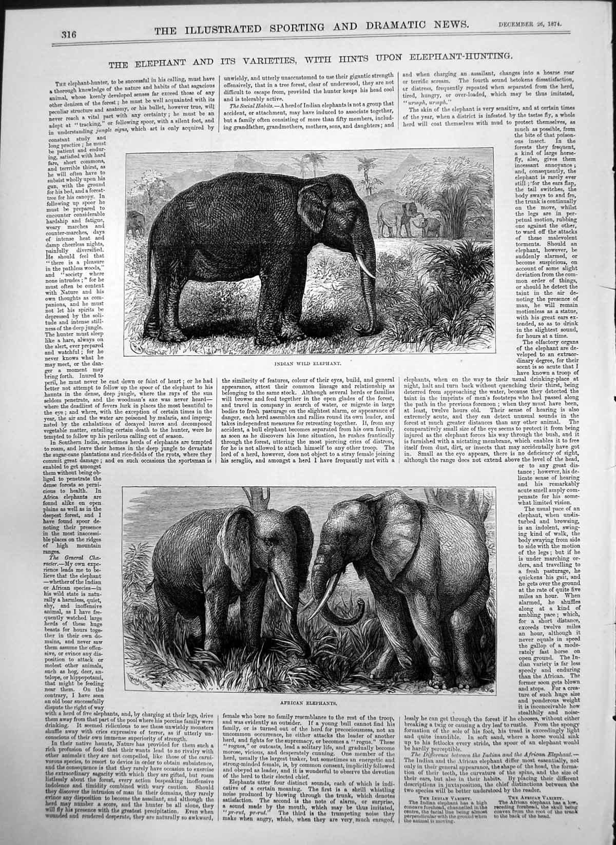 Old Indian Wild Elephant African Elephants Captious Critic Music Hall