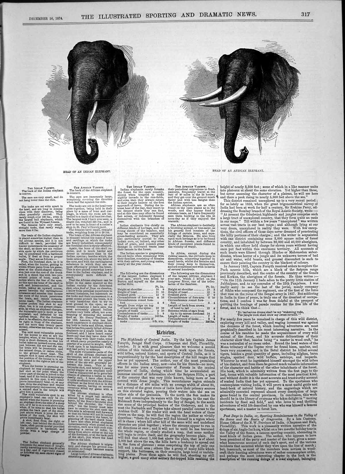 Original Old Antique Print Head Indian Elephant Head African Elephant 1874 19th