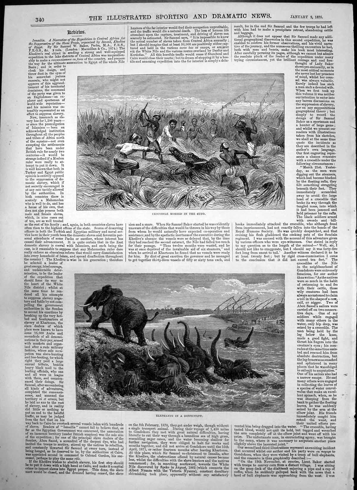 Old Antique Print Crocodile Mobbed In Sudd Elephants In Difficulty 1875 19th