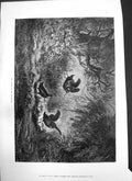 Antique Print Haunt Woodcock Portugal Street Theatre Beginning Century 1875